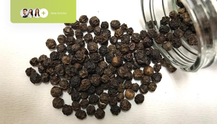 Complete Guide to Importing Black and White Pepper from Indonesia