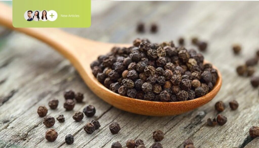 How to Choose a Reliable Indonesian Pepper Exporter for Your Business