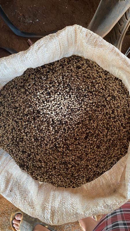 eximoraglobalindonesia gallery (1) eximoraglobalindonesia gallery (1)