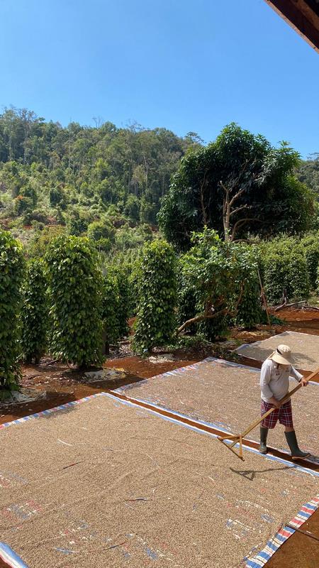 eximoraglobalindonesia gallery (10) eximoraglobalindonesia gallery (10)