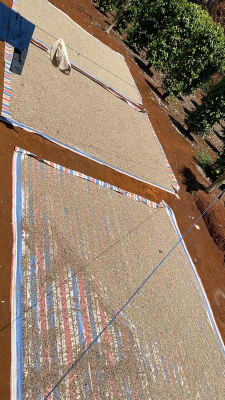 eximoraglobalindonesia gallery (21) eximoraglobalindonesia gallery (21)