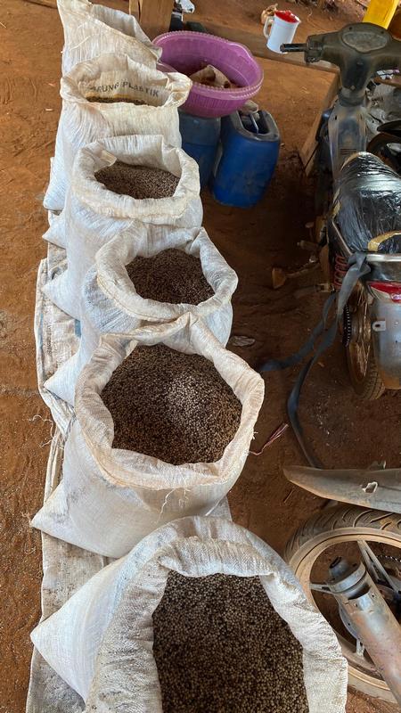 eximoraglobalindonesia gallery (22) eximoraglobalindonesia gallery (22)