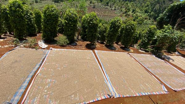 eximoraglobalindonesia gallery (24)