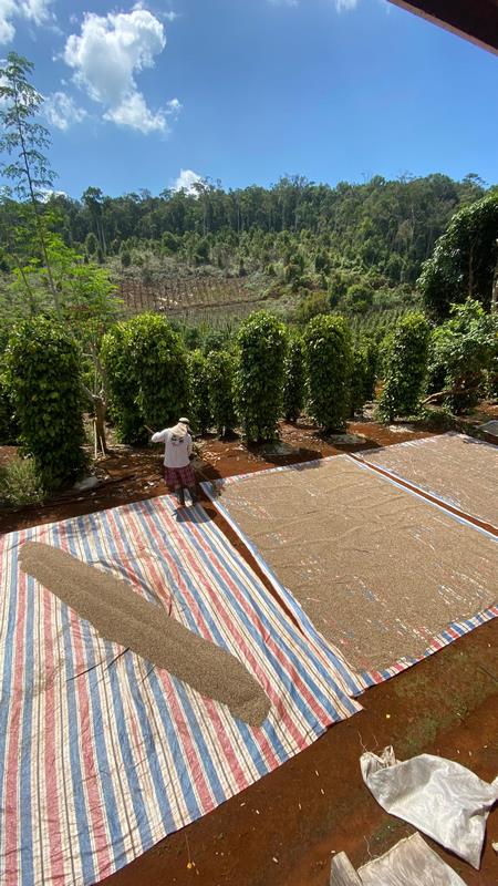 eximoraglobalindonesia gallery (6) eximoraglobalindonesia gallery (6)