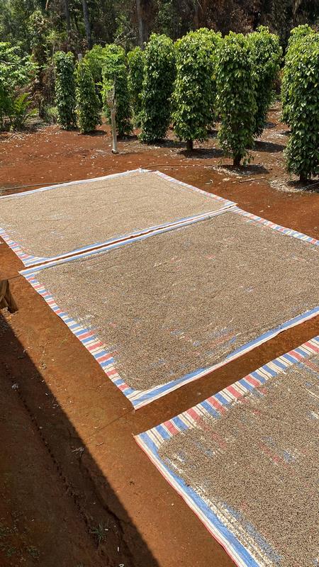 eximoraglobalindonesia gallery (7) eximoraglobalindonesia gallery (7)