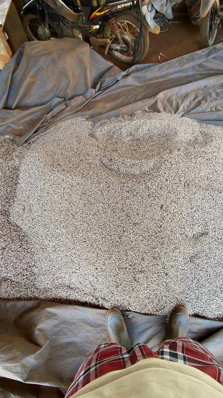 eximoraglobalindonesia gallery (8) eximoraglobalindonesia gallery (8)