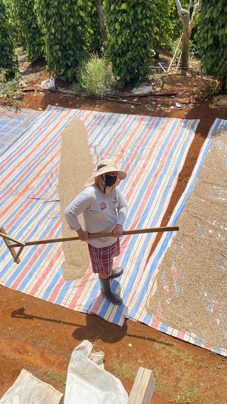 eximoraglobalindonesia gallery (9) eximoraglobalindonesia gallery (9)