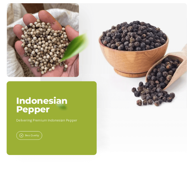 eximoraglobalindonesia